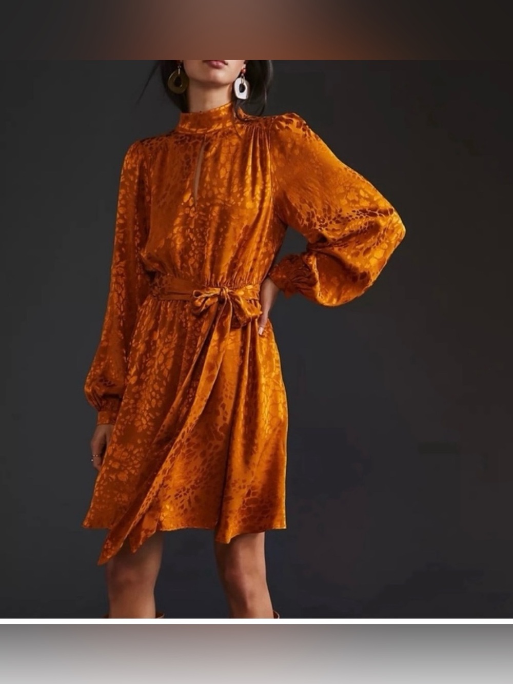 Anthropologie Dress Women’s Rustic Satin Jacquard Mini A-Line Full